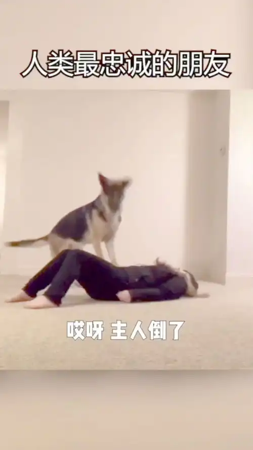 心脏复苏配合两次人工呼吸,它吹气我感觉容易漏风