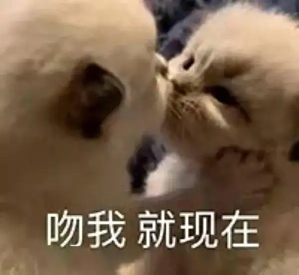 夺笋表情包哈哈哈