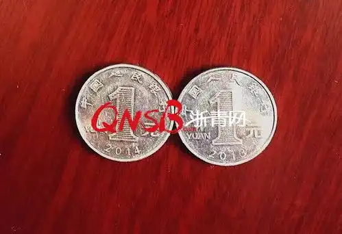 一元硬币图片表情包法院