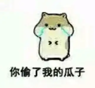 免单表情包瓜子