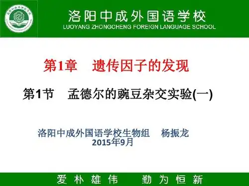 河南省洛阳市中成外国语学校人教版高一生物必修二课件11孟德尔豌豆杂交实验共43张ppt