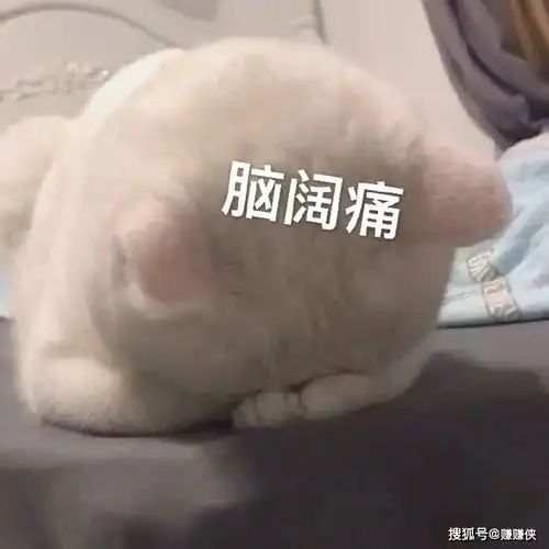 搞笑表情包图片每天起床第一句,先给自己打个气