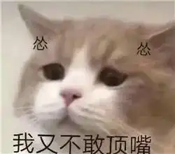 没钱没颜没本事的三无青年,连表情包都这么卑微...
