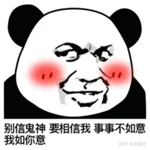 如何评价伊能静在乘风破浪的姐姐中的表现