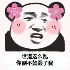 表情包网友的肯定