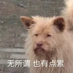 对不起,南宁又要放假了