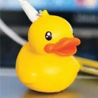鸭子头像大全可爱卡通