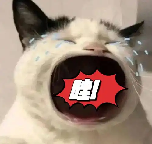 前半集甜哭后半集虐哭