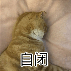 手把手教你做自家主子的表情包