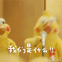 不扎个发型你都不知道自己有多美