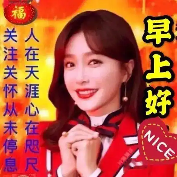 早上好表情包,关注关怀从未停息,愿我的问候给你带来快乐