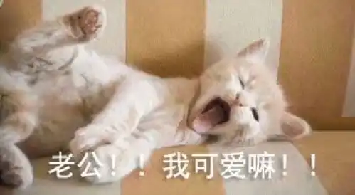 看别人家女朋友会撒娇表情包都不一样