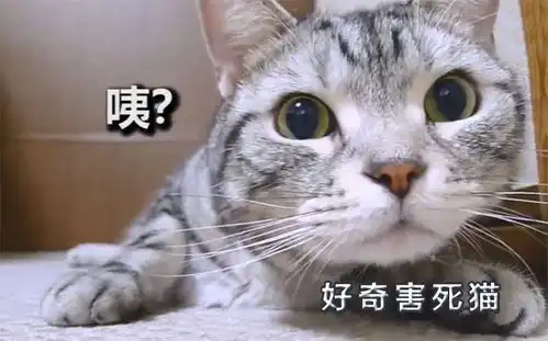 看故事,品人生百态,感悟人生哲理典故