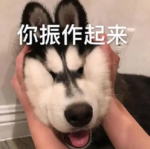 当教育内卷化被搬到了台前后,教育减负又将何去何从