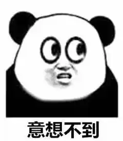 男子被猫抓伤没在意,数月后脑萎缩死亡