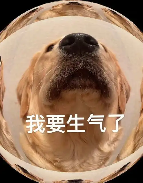 哄对象专用表情包老婆开门呀