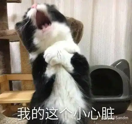 有没有给女朋友亲亲的表情包