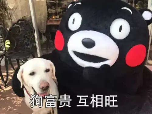 新年快乐