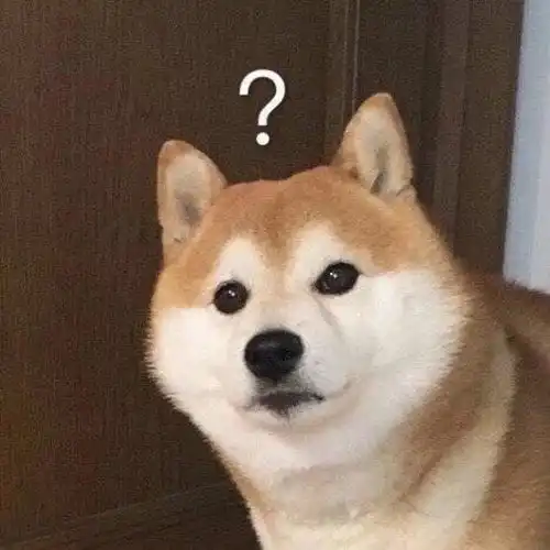 磕cp不带大名