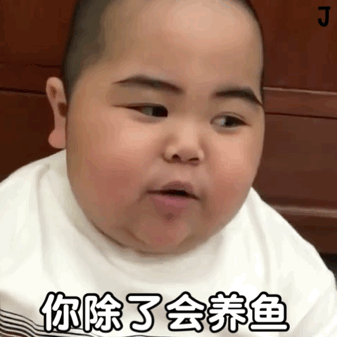 tatan动态表情包合集你除了会养鱼,你还会干什么