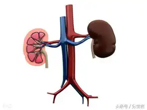 黑色入肾常吃黑五类,让你的肾年轻15岁,让你更男人
