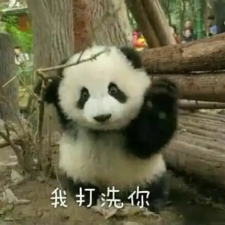 手指比喻一丢丢表情包熊