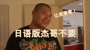 当某只怂猫直播烟火时.....