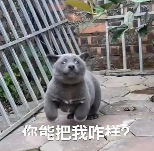 表情包哆啦a梦壁纸