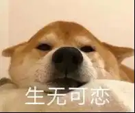 解放了图片表情包表情包