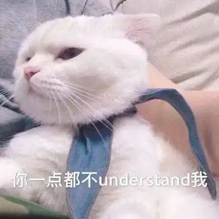 ins头像发觉哪里的我都不是完整的