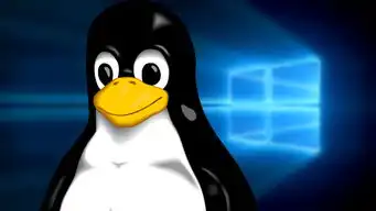 国产操作系统再遇拦路虎,没有生态,还是败给了windows