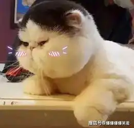 爆笑段子少年表白但被女的说你是个好人,但我们不合适老婆