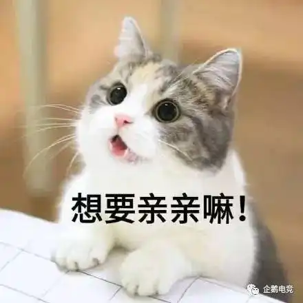 下雨了送你回家表情包王