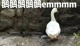 最近大肥鸭表情包火了我是连肉肉都是爱你的形状鸭