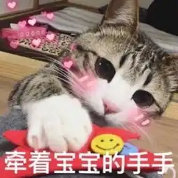 软萌猫咪酱,难道你不爱吗