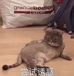 秋冬实力出道,连我平时不联络的同学都来要折扣