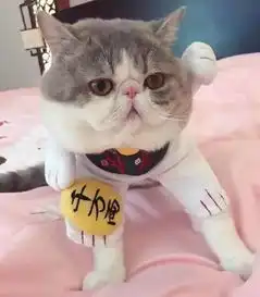 ins爆红粉红可爱迷你猪不相信你的表情包里没有它