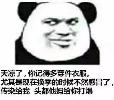 1229斗图表情包收老婆,一块钱四个,嘿嘿