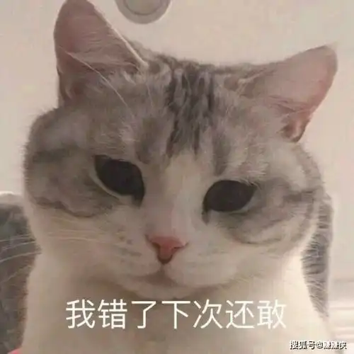 最新表情包图片小样儿,等姐有钱了,养你啊