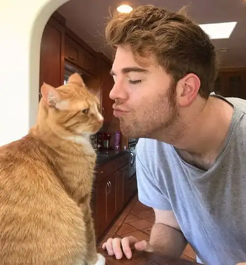 推主平时亲猫时猫是这个反应,有天他一女性朋友来做客,而猫...