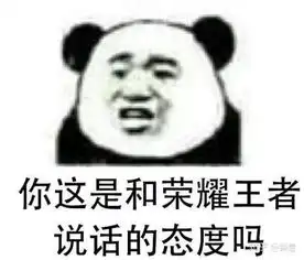 王者荣耀买皮肤表情包快