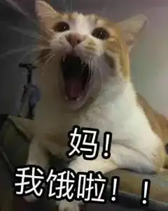 我的麻麻是超人秀出你的超神早餐,晒出对孩子暖暖的爱