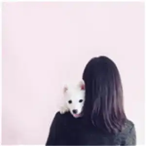 二次元男生头像帅气背影
