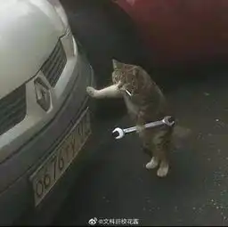 狗头像男生专用版沙雕情