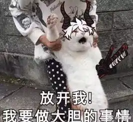 清远周边13种最刺激的玩法蹦极飞索街坊们你敢来挑战吗