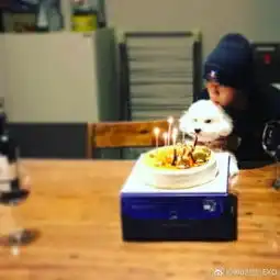 exo吴世勋迎24岁生日抱狗狗庆生乖萌可爱
