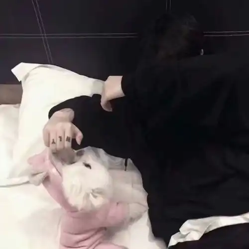 男生绝望崩溃头像高清头