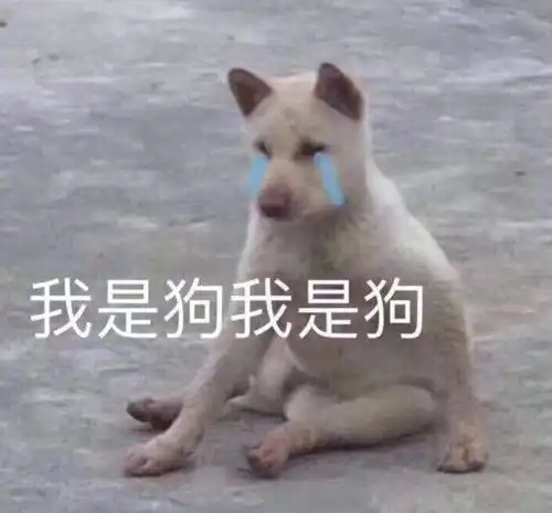 如何以我是个单身狗开头写一个故事