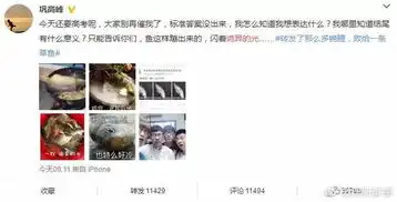摸鱼鱼表情包什么意思巩