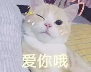 三月购物分享l励志做一个行走的种草机